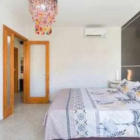 Albatros 1l Tres Appartement